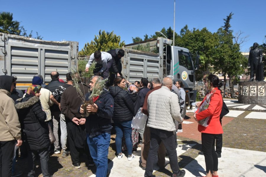 Bozyazı’da Fidanlar Toprakla Buluşturuldu