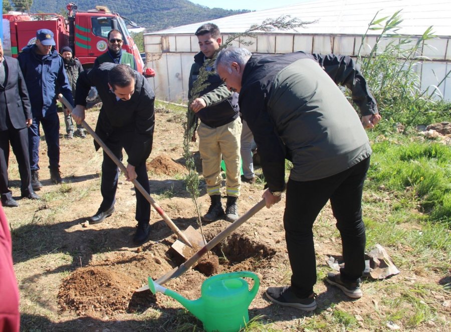 Bozyazı’da Fidanlar Toprakla Buluşturuldu