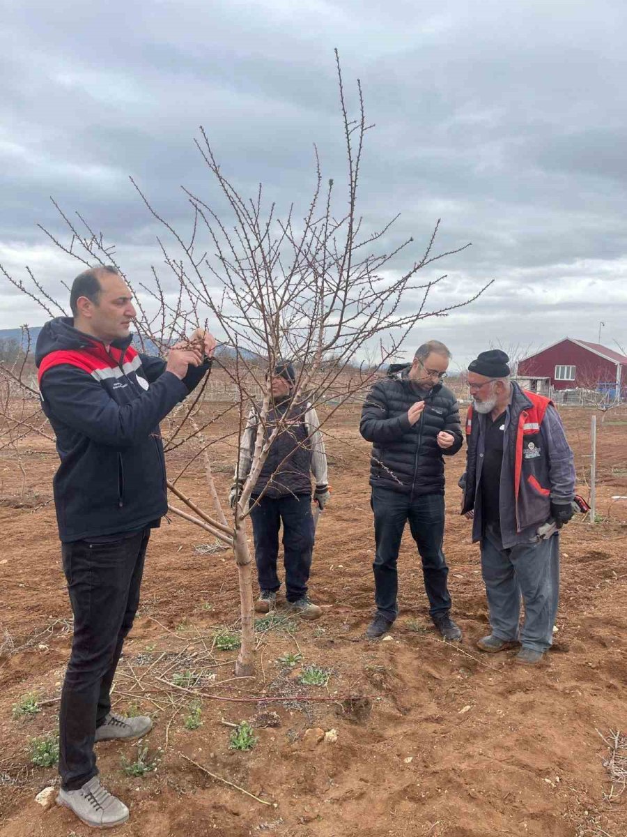 Beyşehir’de Zirai Don Kontrolü Yapıldı