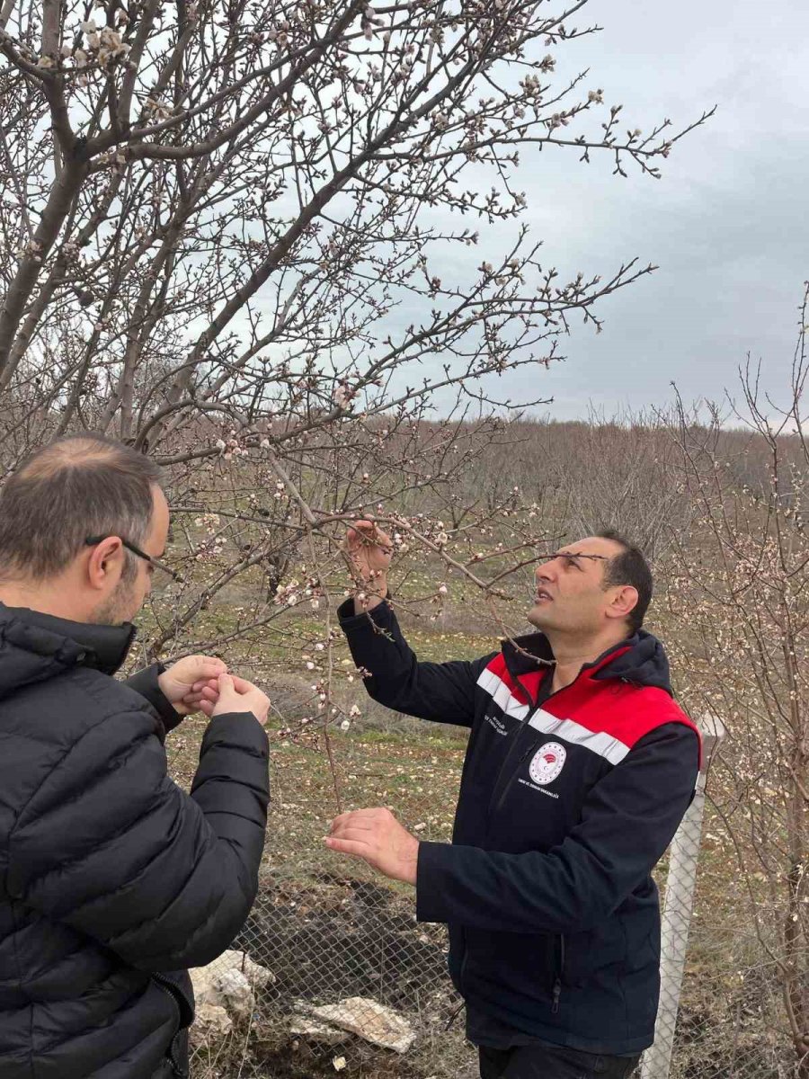 Beyşehir’de Zirai Don Kontrolü Yapıldı
