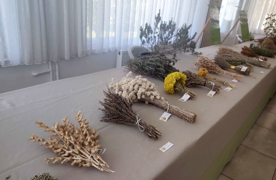 Anamur’da ’orman Ekosistemi’ Temalı Sergi Açıldı