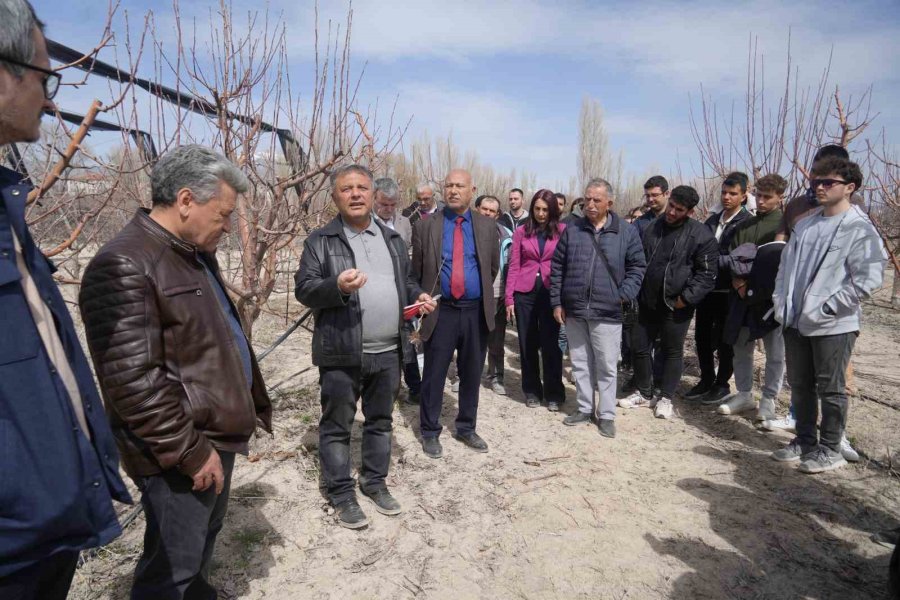 Niğde’de Çiftçilere Meyve Ağaçlarında Aşılama Eğitimi