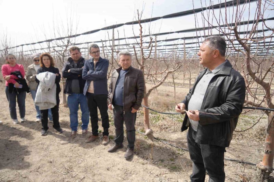 Niğde’de Çiftçilere Meyve Ağaçlarında Aşılama Eğitimi