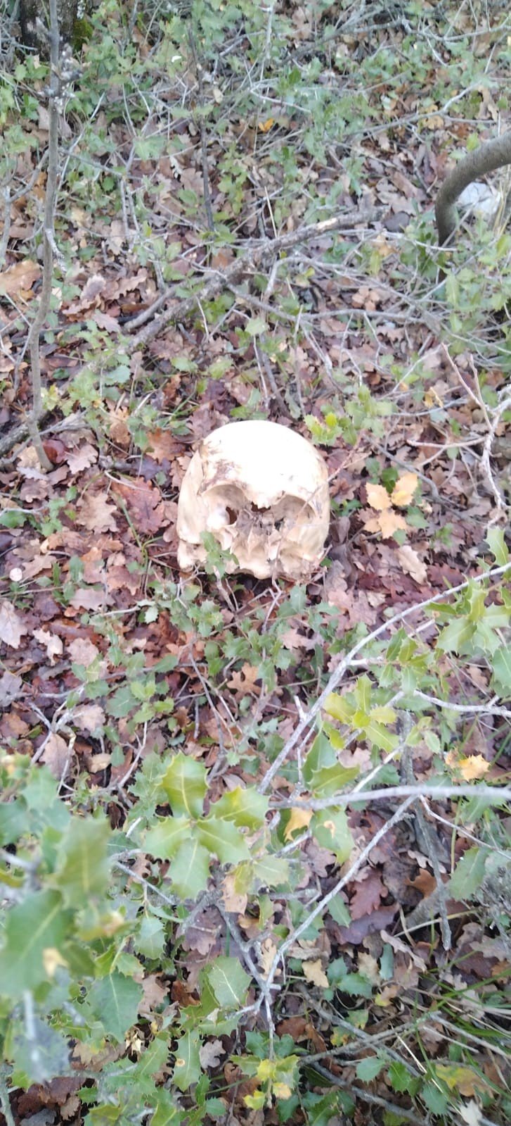 Konya’da Bulunan Kafatasıyla İlgili Çalışmalar Sürüyor