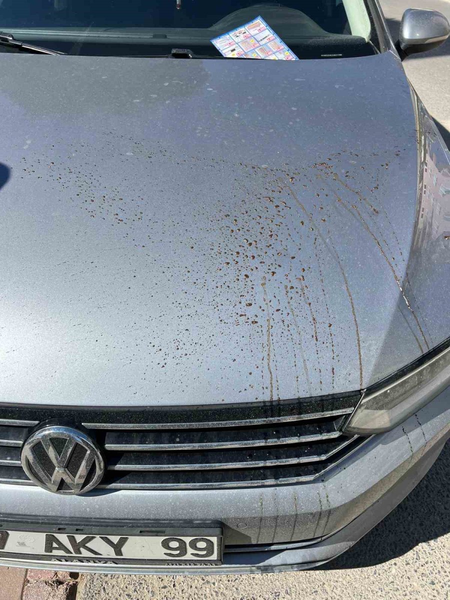 Otomobile Asit Döktü, Hiç Olmamış Gibi Yoluna Devam Etti