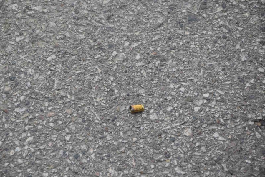 Keçilerini Otlatan Çobana Silahlı Saldırı: 1 Keçi Telef, 1 Keçi Yaralı