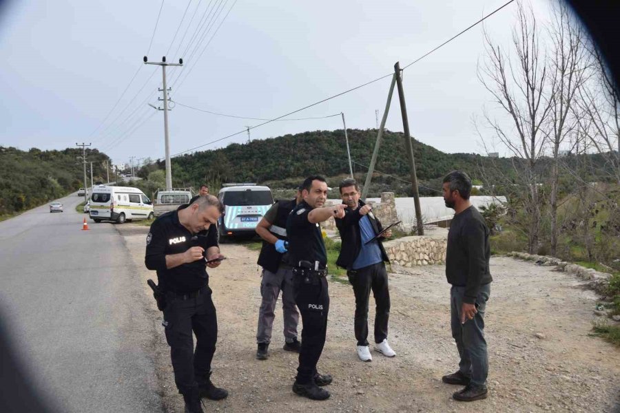 Keçilerini Otlatan Çobana Silahlı Saldırı: 1 Keçi Telef, 1 Keçi Yaralı