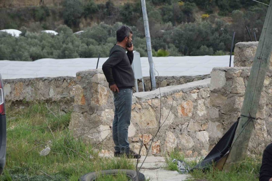 Keçilerini Otlatan Çobana Silahlı Saldırı: 1 Keçi Telef, 1 Keçi Yaralı