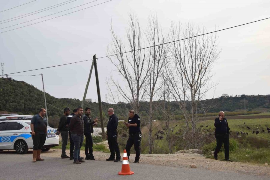 Keçilerini Otlatan Çobana Silahlı Saldırı: 1 Keçi Telef, 1 Keçi Yaralı