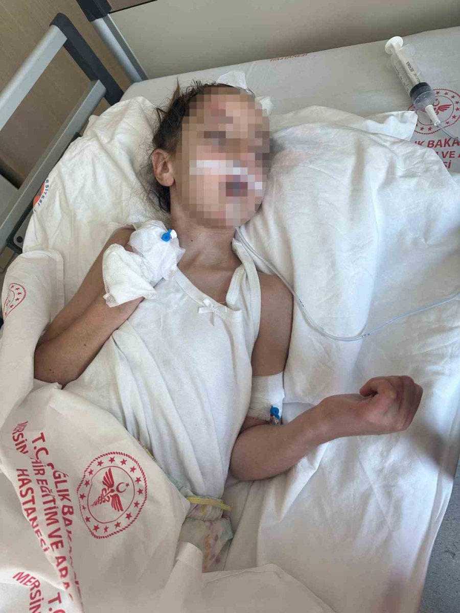 Bir Öğrencinin Öldüğü Kazada Sürücünün Yargılanmasına Devam Edildi