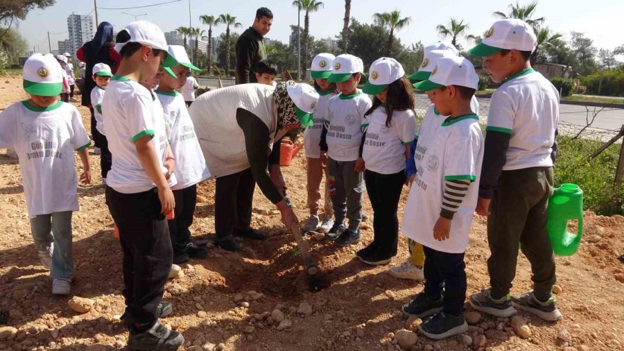 Orman Bilinci Aşılanan Minikler Fidan Dikti