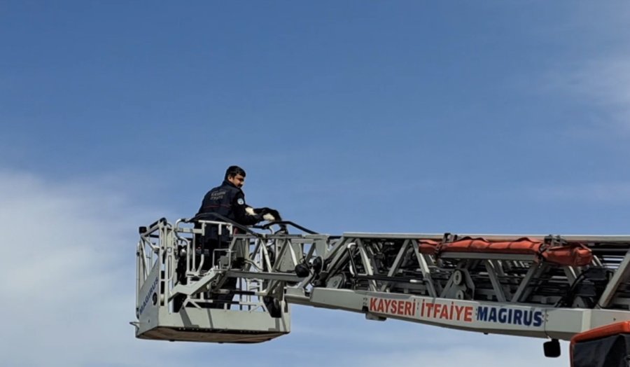 Ağaçta Kalan Kediyi İtfaiye Ekipleri Kurtardı