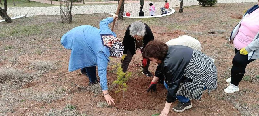 Odunpazarı Belediyesi’nden Geleceğe Yeşil Miras