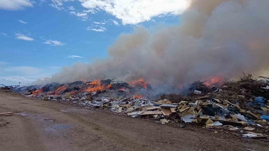 Alevlere Aldırmayan İnekler Otlamaya, Çoban İse Yangını İzlemeye Devam Etti