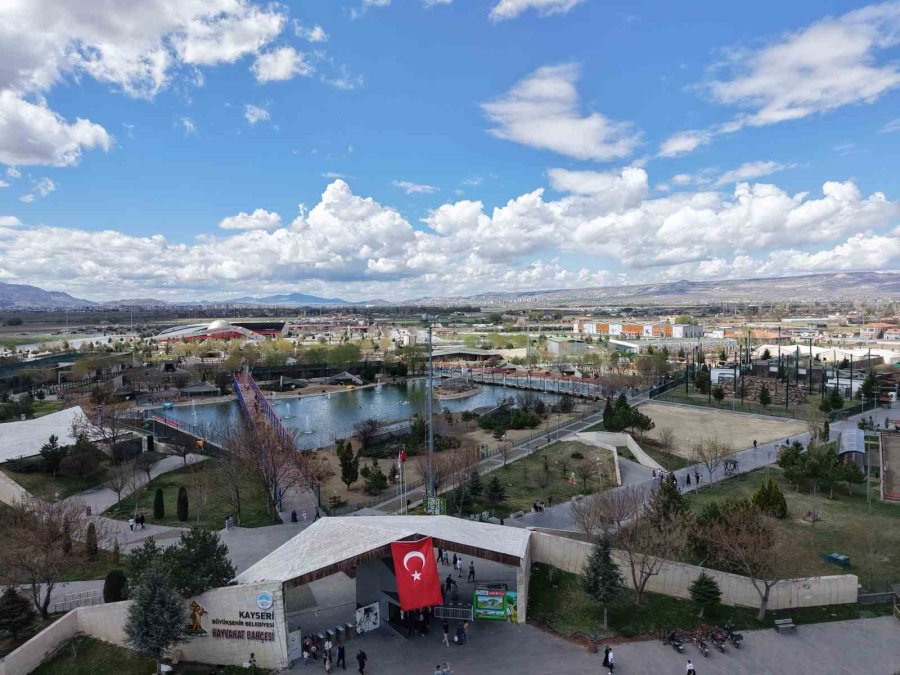 Büyükşehir’in Hayvanat Bahçesine Ramazan Bayramı’nda Yoğun İlgi