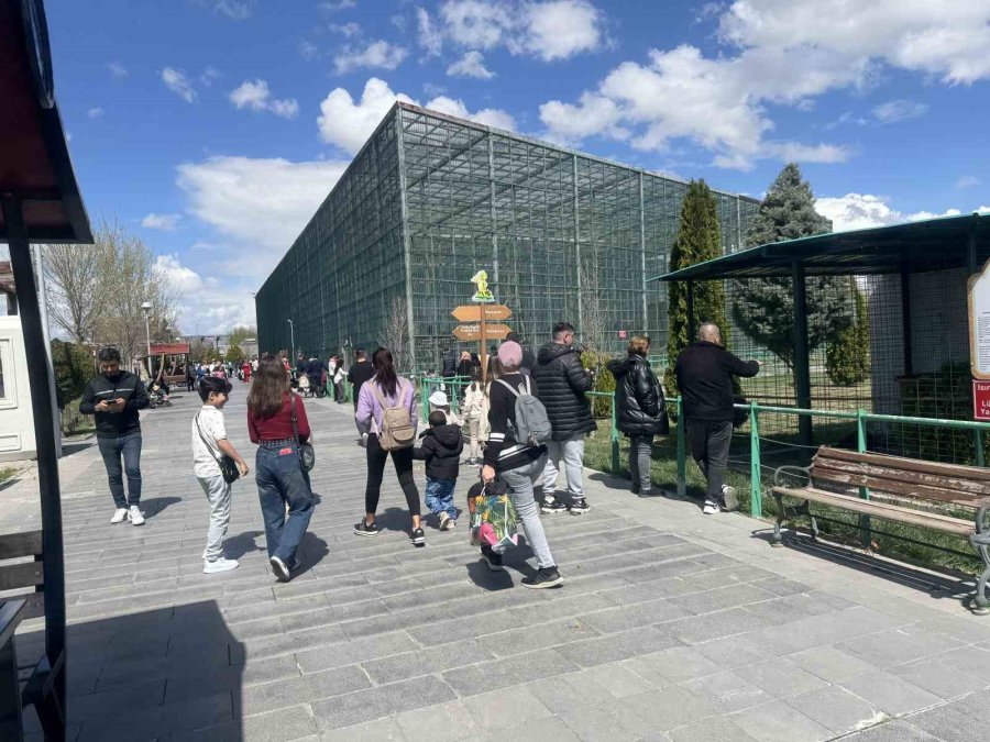 Büyükşehir’in Hayvanat Bahçesine Ramazan Bayramı’nda Yoğun İlgi