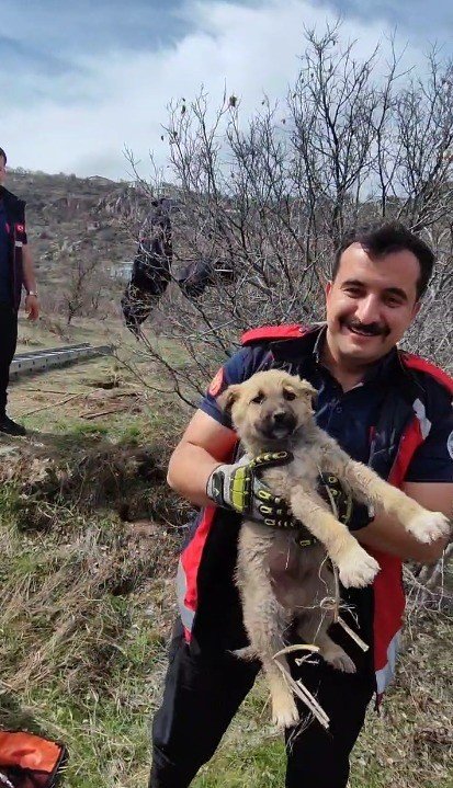 Kuyuya Düşen Minik Köpeği İtfaiye Ekipleri Kurtardı