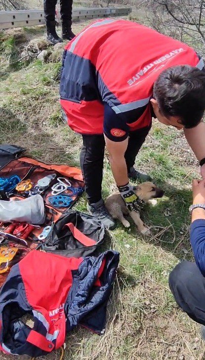 Kuyuya Düşen Minik Köpeği İtfaiye Ekipleri Kurtardı