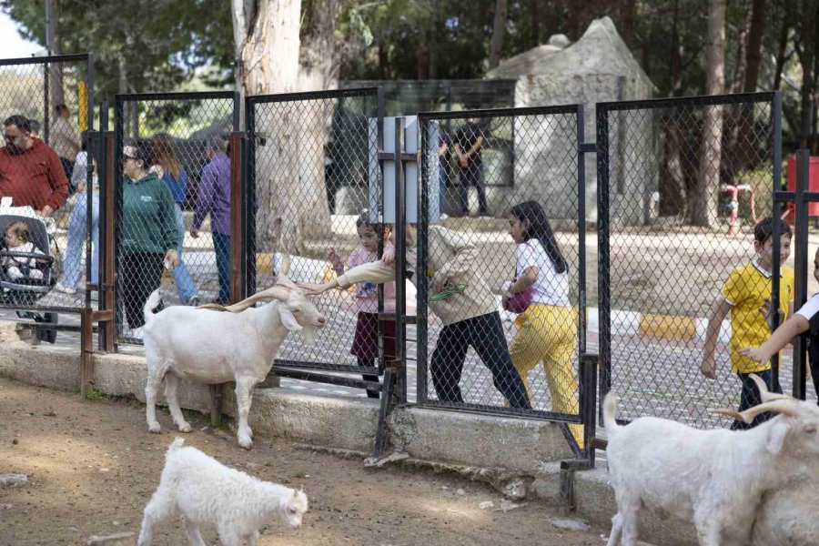 Tarsus Doğa Parkı Bayramda 17 Bin Ziyaretçi Ağırladı