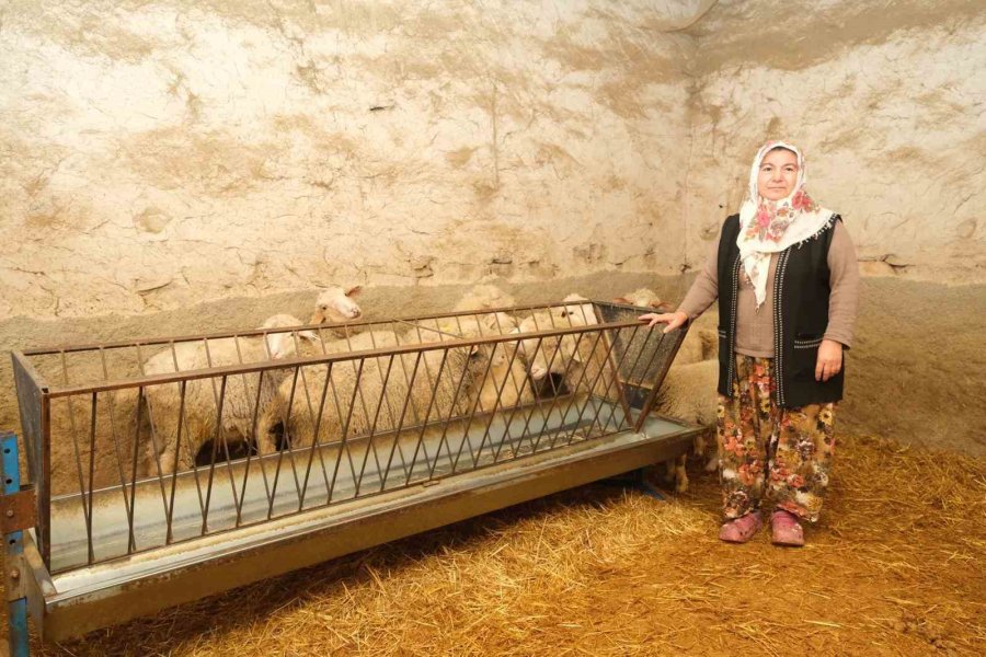 Büyükşehir’in Kırsal Kalkınma Projeleri Yüzleri Güldürüyor: "köylü Böyle Desteklenmeli"