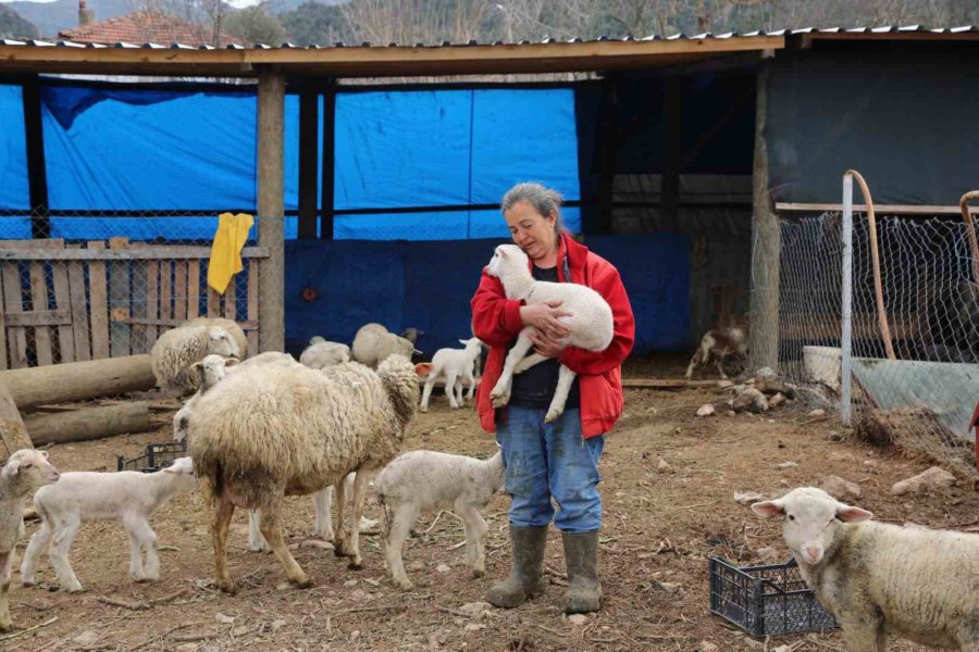 Büyükşehir’in Kırsal Kalkınma Projeleri Yüzleri Güldürüyor: "köylü Böyle Desteklenmeli"