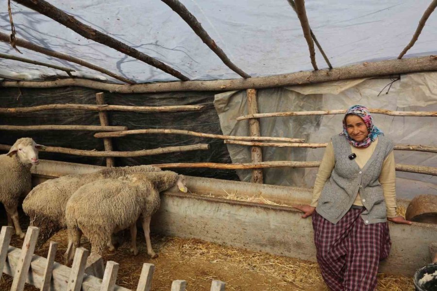 Büyükşehir’in Kırsal Kalkınma Projeleri Yüzleri Güldürüyor: "köylü Böyle Desteklenmeli"