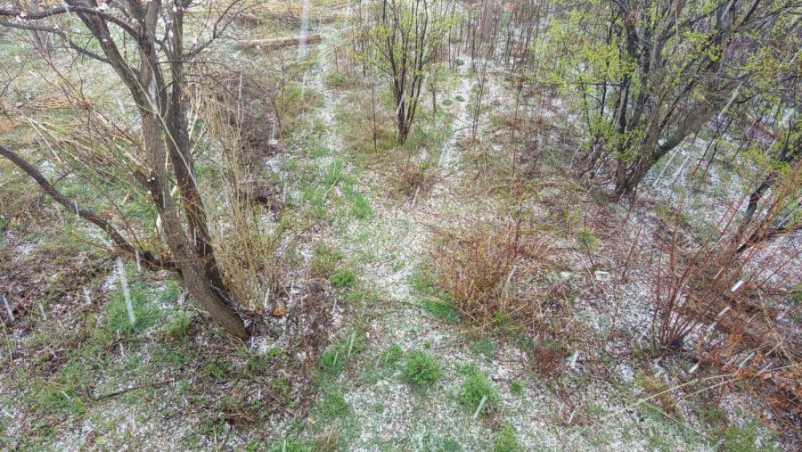 Bozkır’da Dolu Yağışı Tarım Arazilerine Zarar Verdi