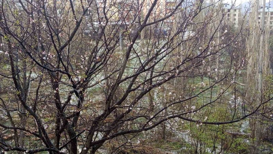 Bozkır’da Dolu Yağışı Tarım Arazilerine Zarar Verdi