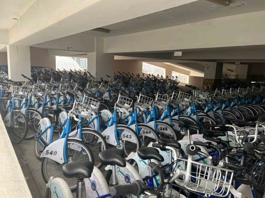 Kaybis Sezonu Açılıyor