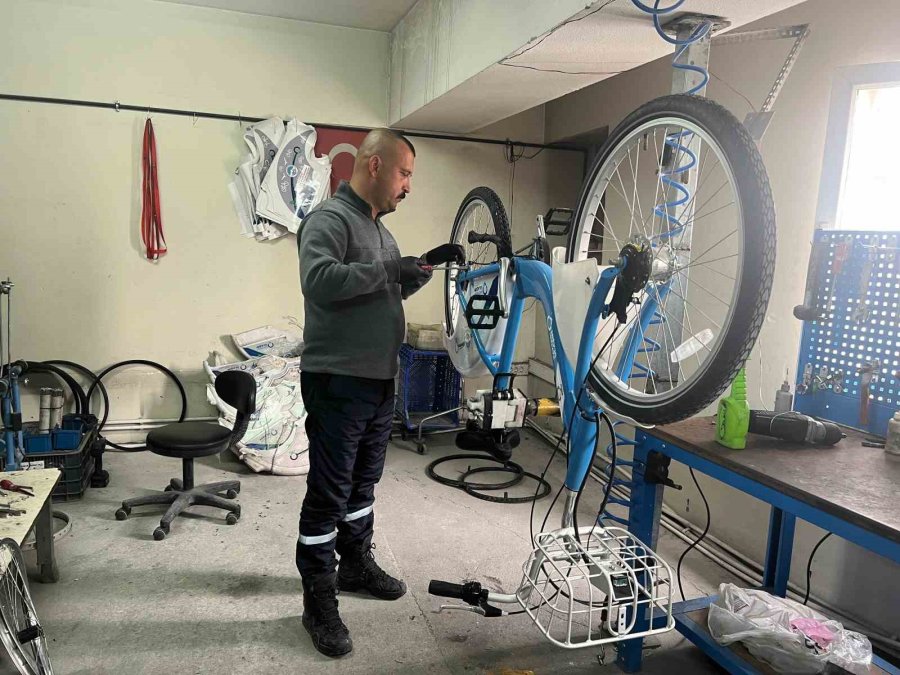 Kaybis Sezonu Açılıyor