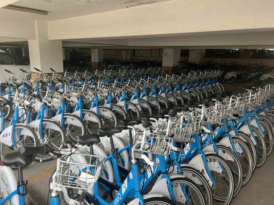 Kaybis Sezonu Açılıyor