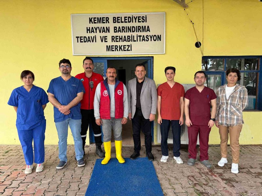 Kemer’de Sokak Hayvanlarına Destek Çağrısı