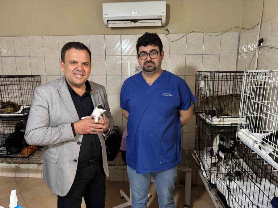 Kemer’de Sokak Hayvanlarına Destek Çağrısı