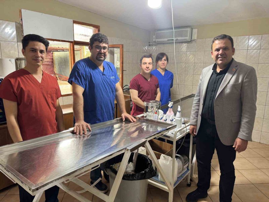 Kemer’de Sokak Hayvanlarına Destek Çağrısı