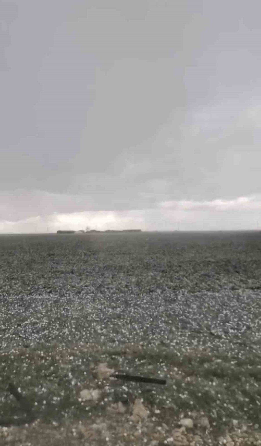 Konya’da Çiftçilerin Yağış Sevinci