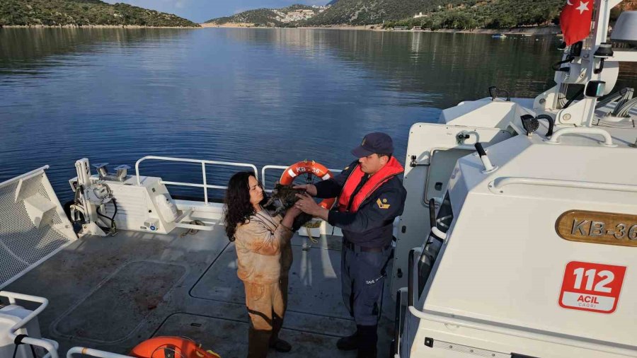 Antalya’da Düzensiz Göçmen Operasyonu: 25’i Çocuk 80 Kişi Kurtarıldı