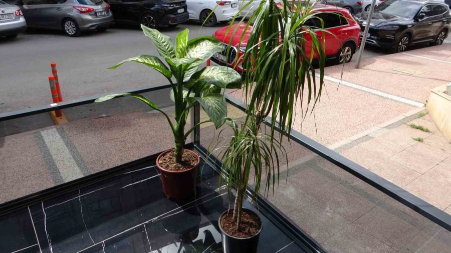 Mersin’de İlginç Hırsızlık: Kadın Beğendi Erkek Çaldı