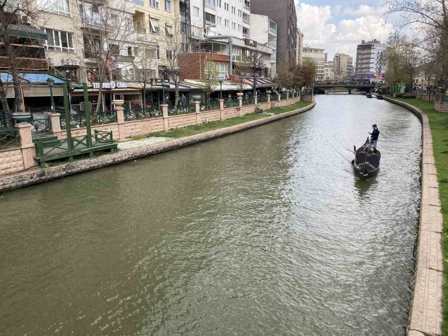 Porsuk Çayı’nda Ölen Balıklar Su Yüzeyine Vurdu