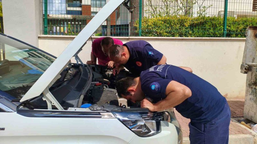 Aracın Motoruna Giren Yavru Kedileri Telefondan Kedi Sesi Açarak Çıkarmaya Çalıştılar