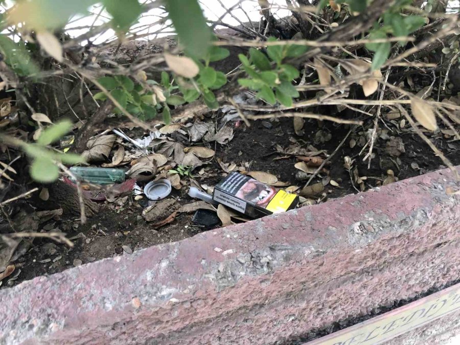 Vatandaşlar Ceza Ödememek İçin Çözümü Saksıda Buldu