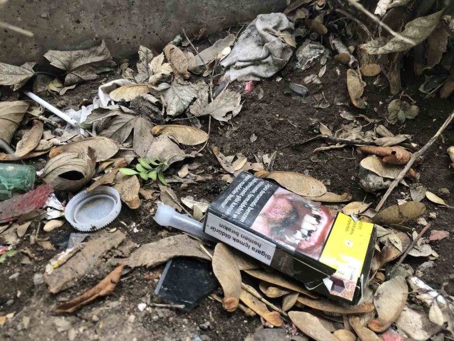 Vatandaşlar Ceza Ödememek İçin Çözümü Saksıda Buldu