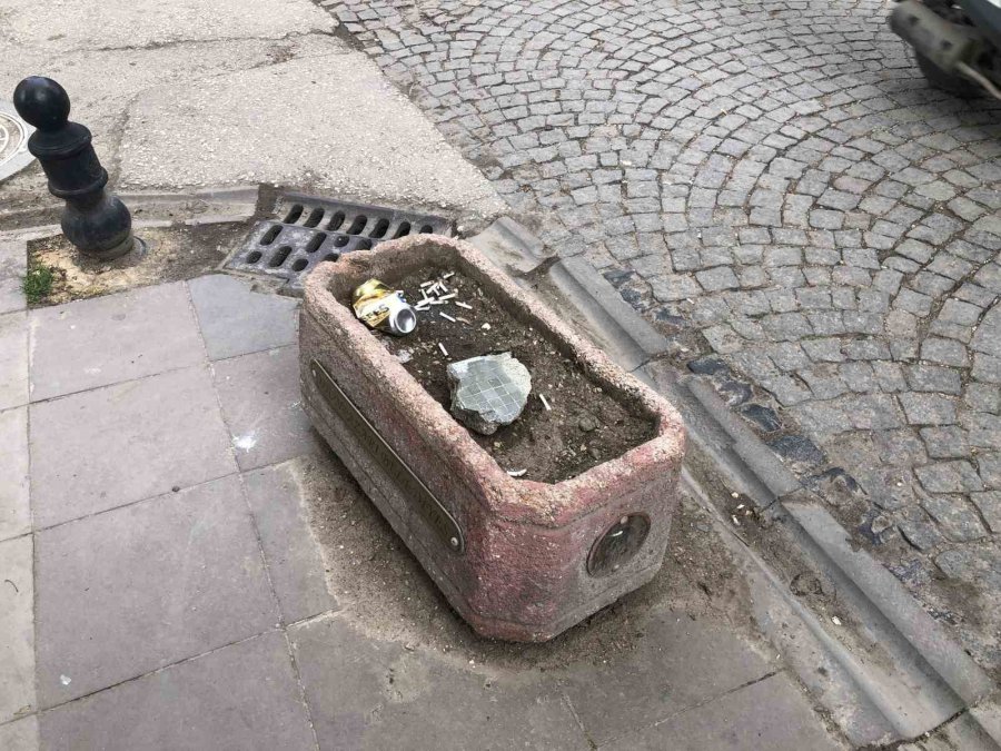 Vatandaşlar Ceza Ödememek İçin Çözümü Saksıda Buldu