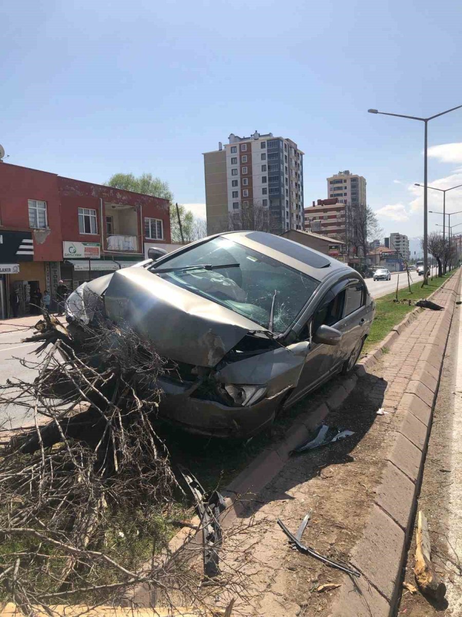 Otomobil Ağaca Çarptı: 1 Yaralı