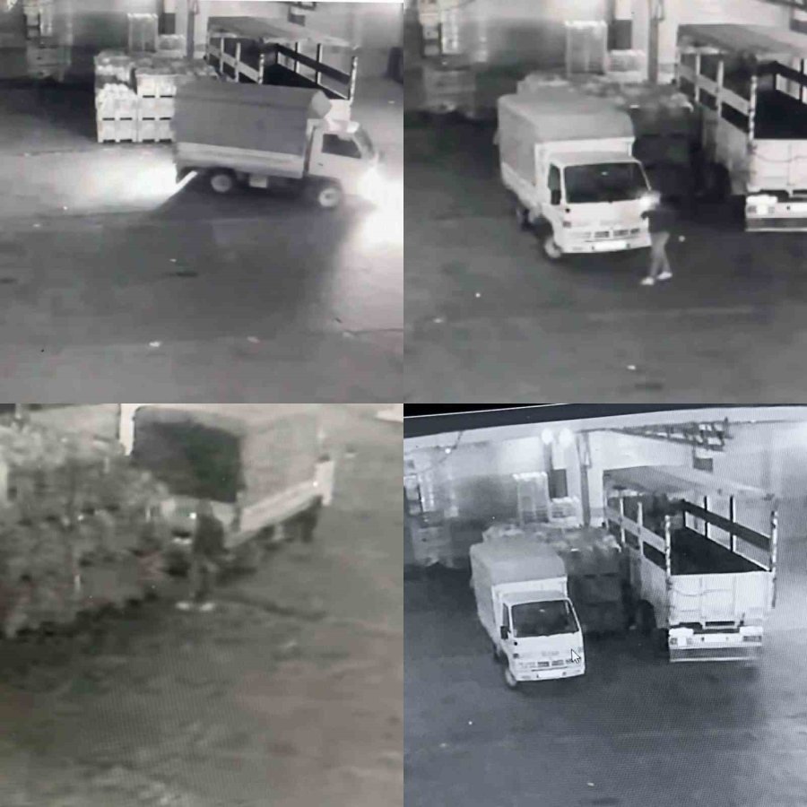 Halden 700 Kilo Karpuz Çalındı: O Anlar Kamerada