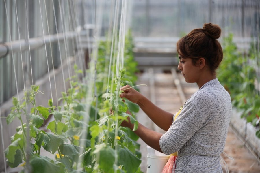Akdeniz Üniversitesi Öğrencilerinin 207 Projesi Tübitak Tarafından Desteklenecek