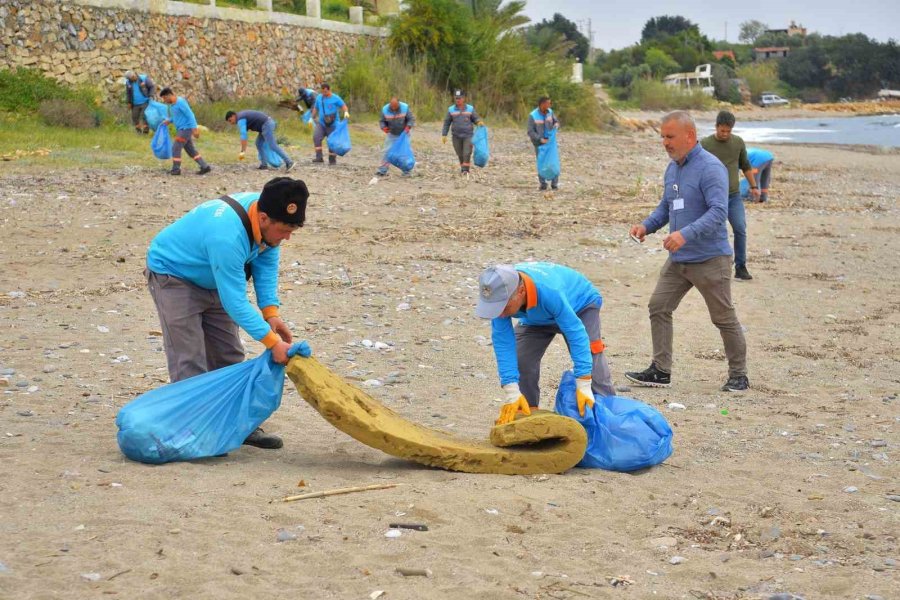 Alanya’da Kum Zambakları İle Caretta Carettaların Yaşam Sahaları Temizlendi