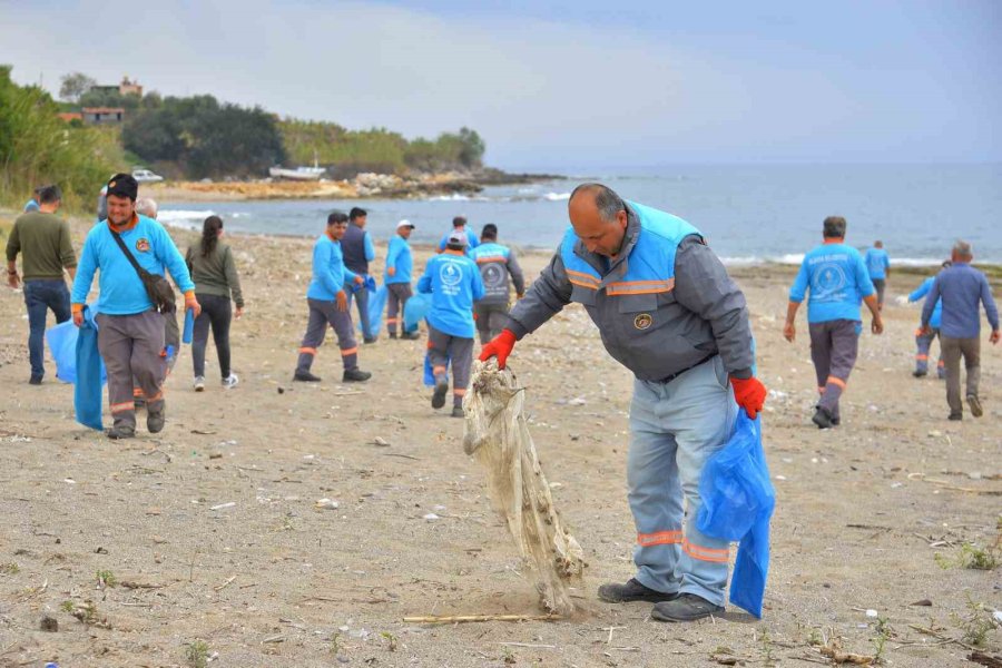 Alanya’da Kum Zambakları İle Caretta Carettaların Yaşam Sahaları Temizlendi