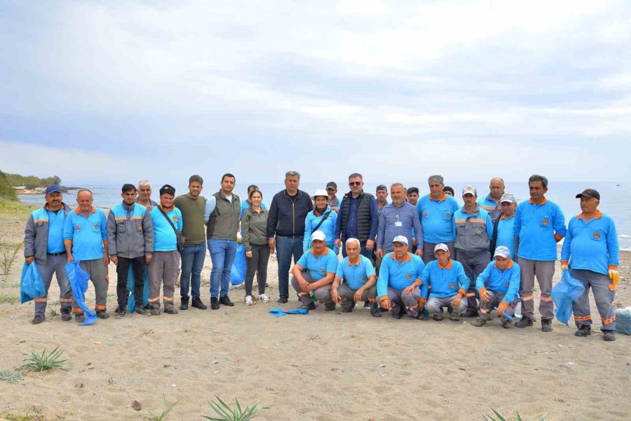 Alanya’da Kum Zambakları İle Caretta Carettaların Yaşam Sahaları Temizlendi