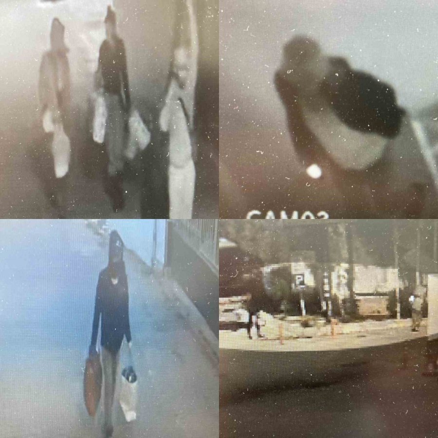 Tatil Yapıp Yazlık Daireleri Soymuşlardı: 2 Sevgili Tutuklandı