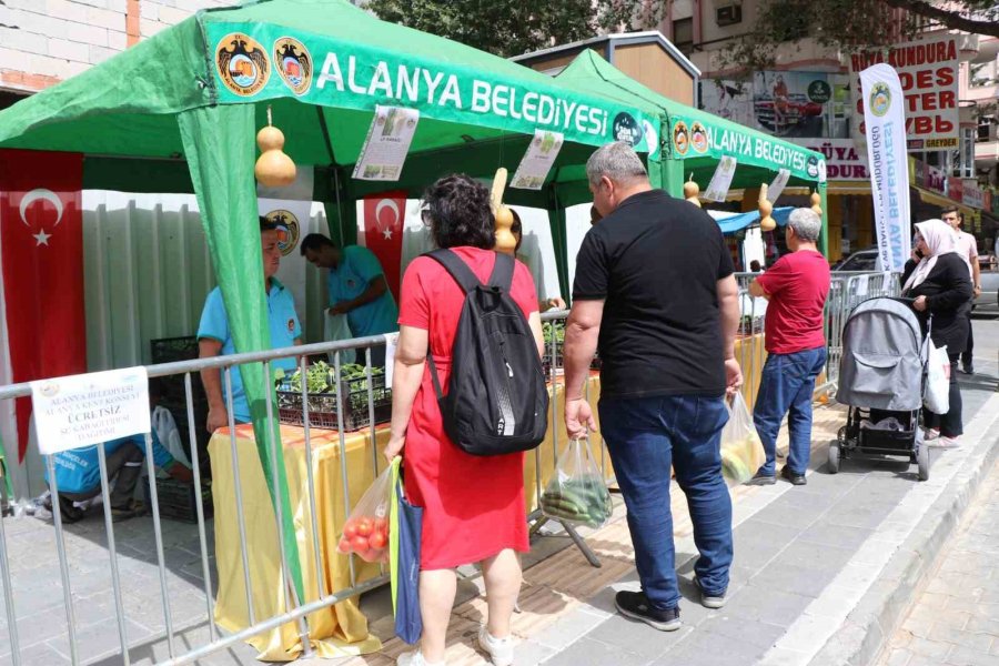 Alanya’da Ücretsiz Su Kabağı Fidesi Dağıtılacak
